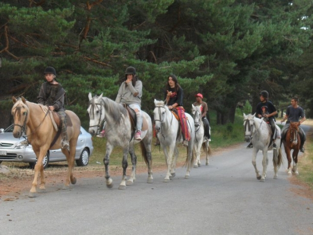 Excursiones a caballo en el campo